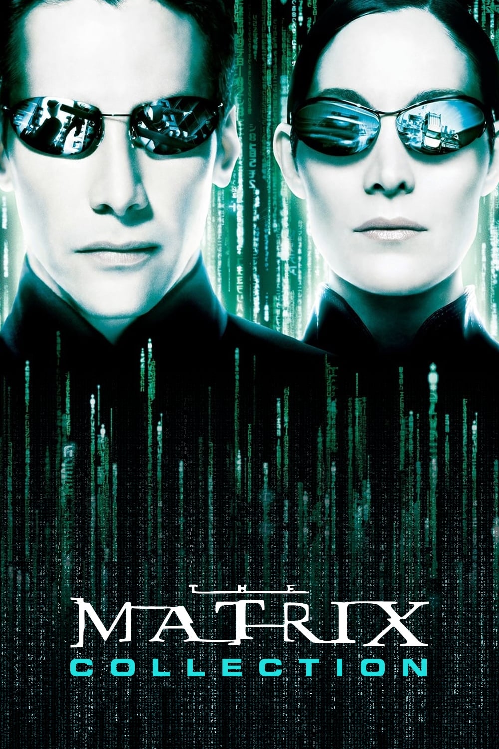 the matrix movie assignment