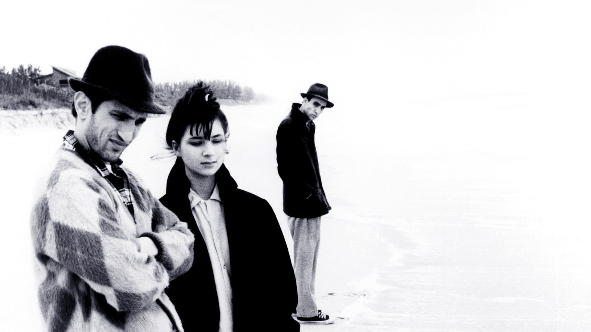 Image du film Stranger Than Paradise oet5amywrziaqsj4qkcoyya5c5kjpg