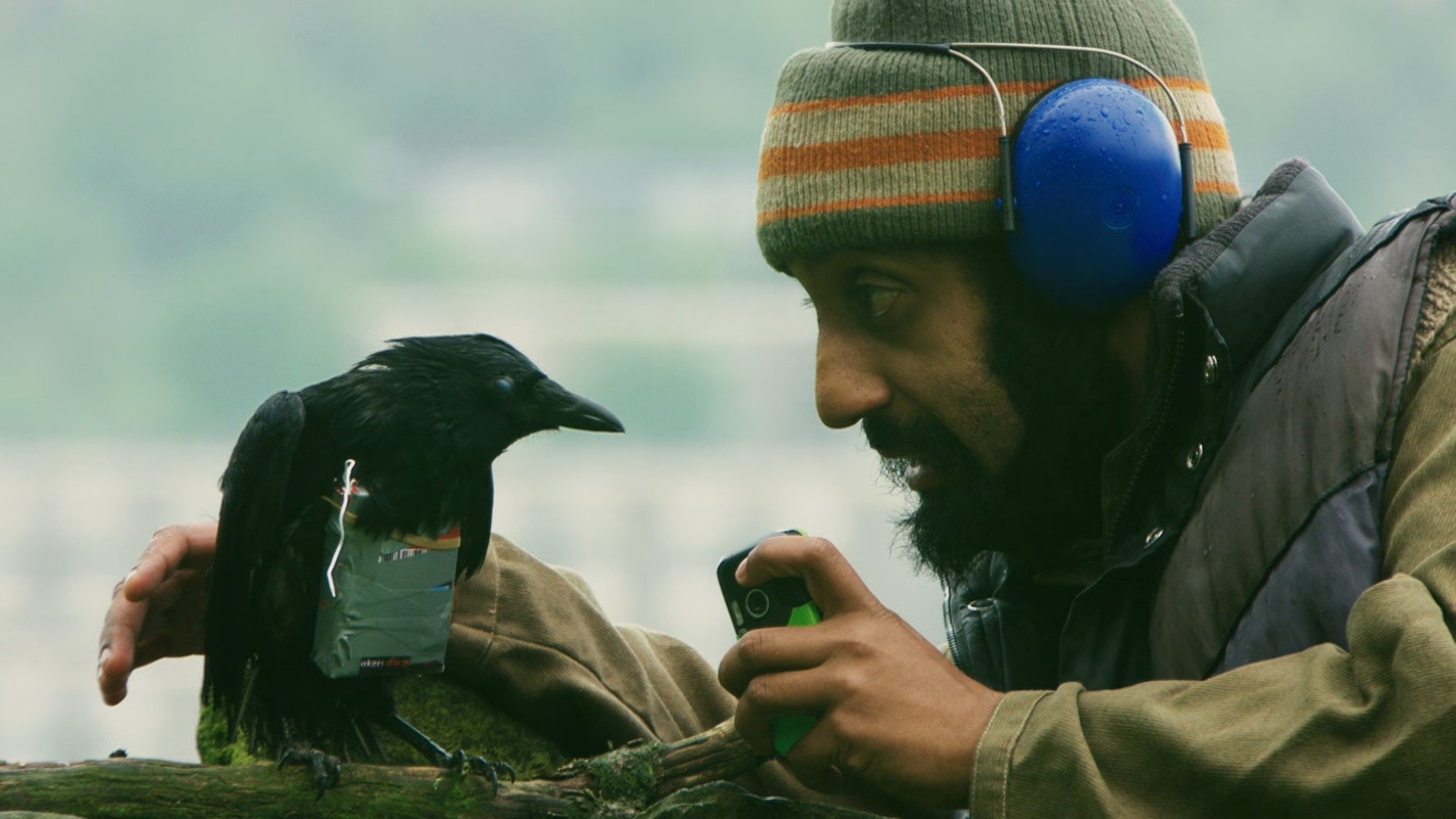 Four Lions (2010)
