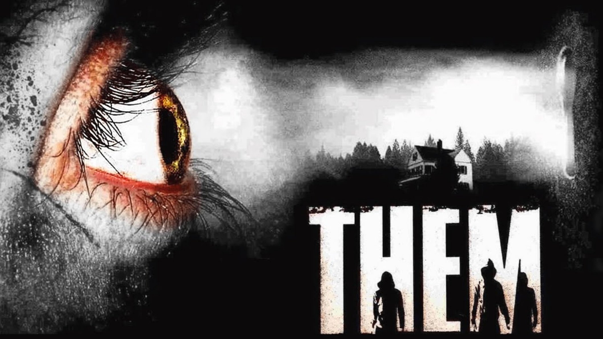 正体不明 THEM (2006)