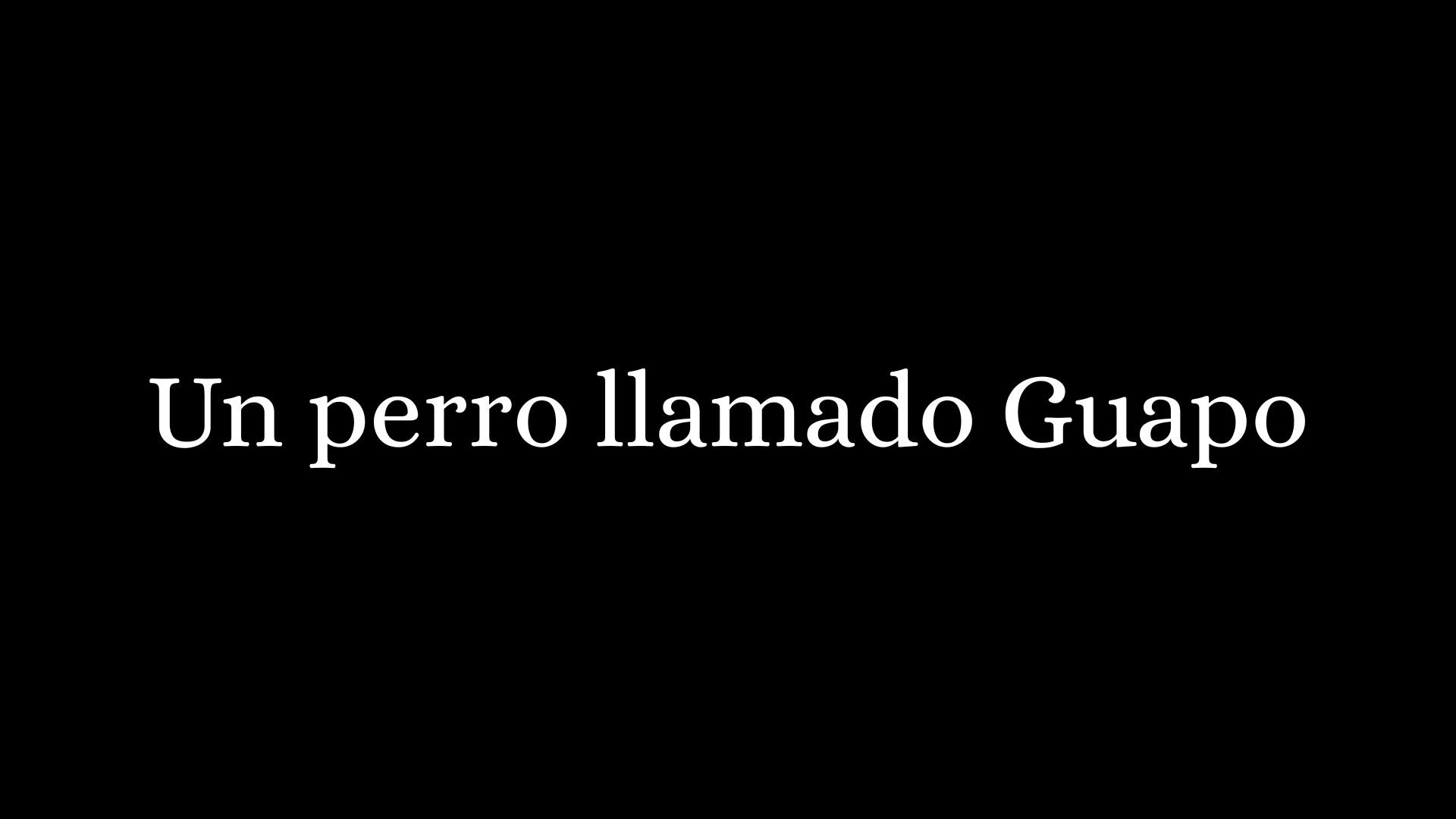 Un Perro Llamado Guapo (2025)