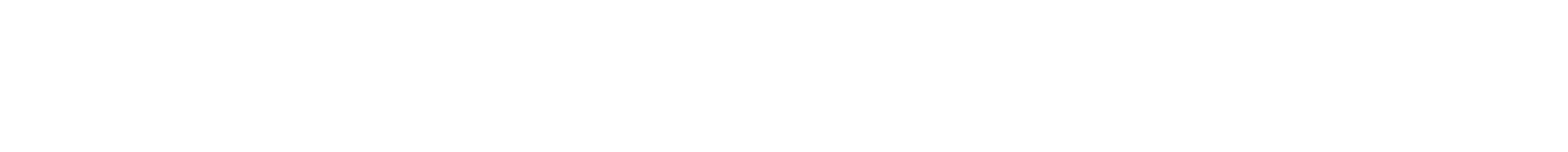 Lisey a její příběh