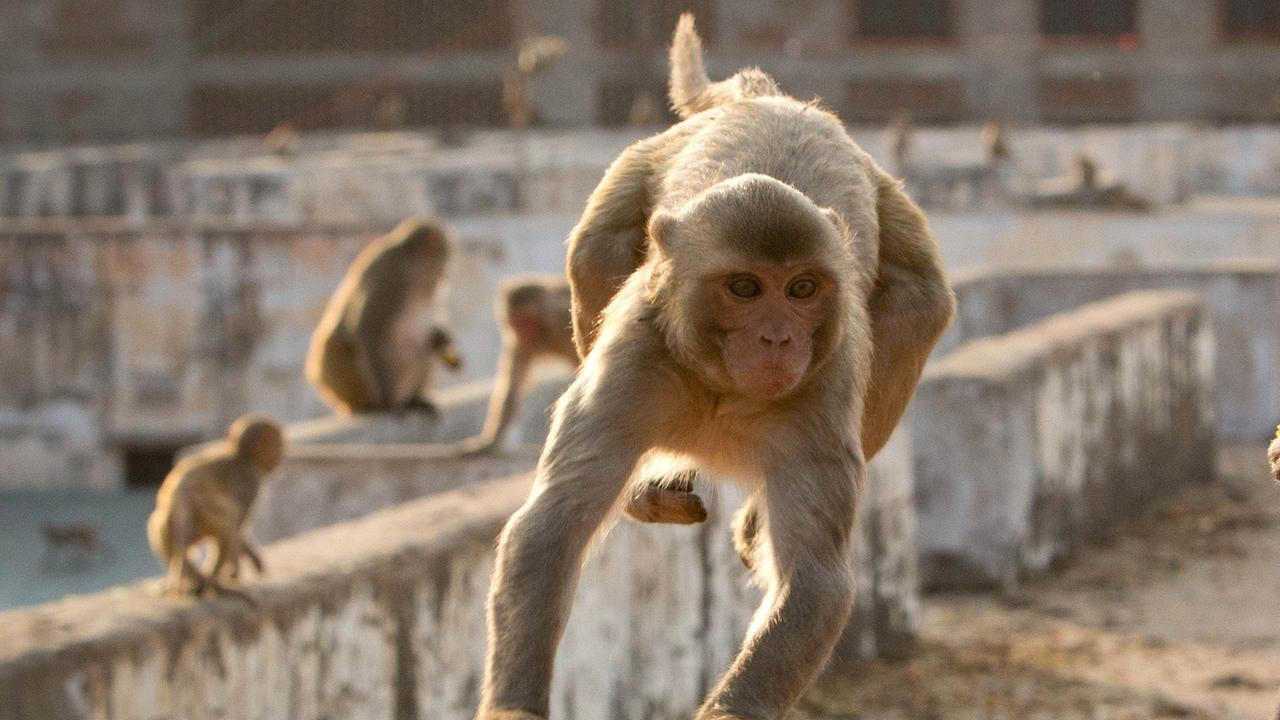 Terra X - Eine Erde viele Welten Season 1 :Episode 6  Episode 6