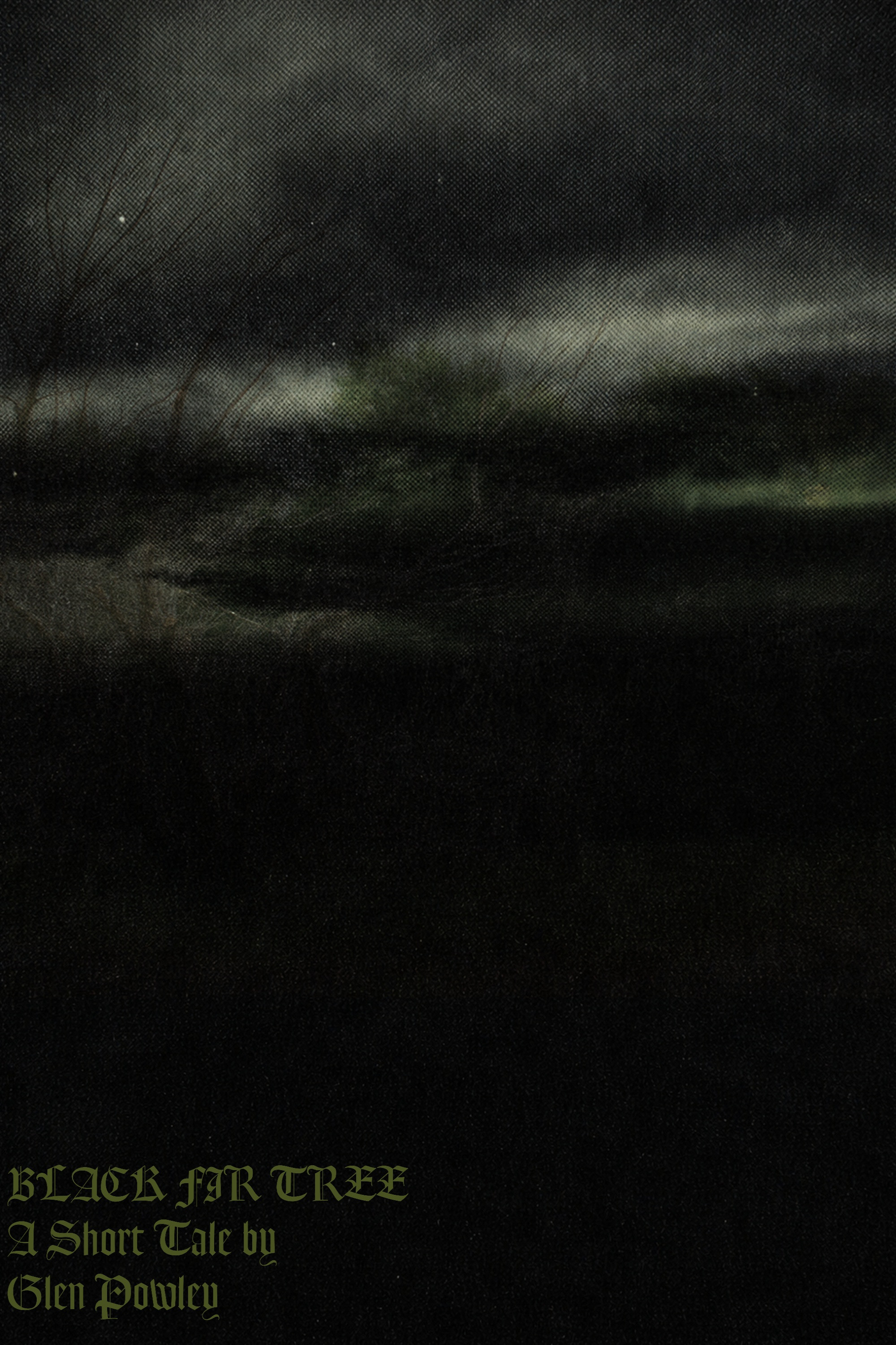 Black Fir Tree