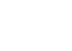 Little Lunch