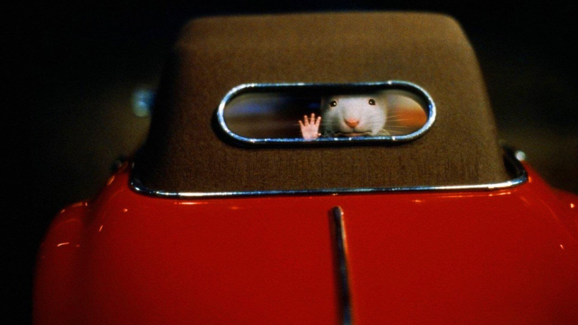 Image du film Stuart Little oge8orifhtltlceuwyfe4dd4qg1jpg