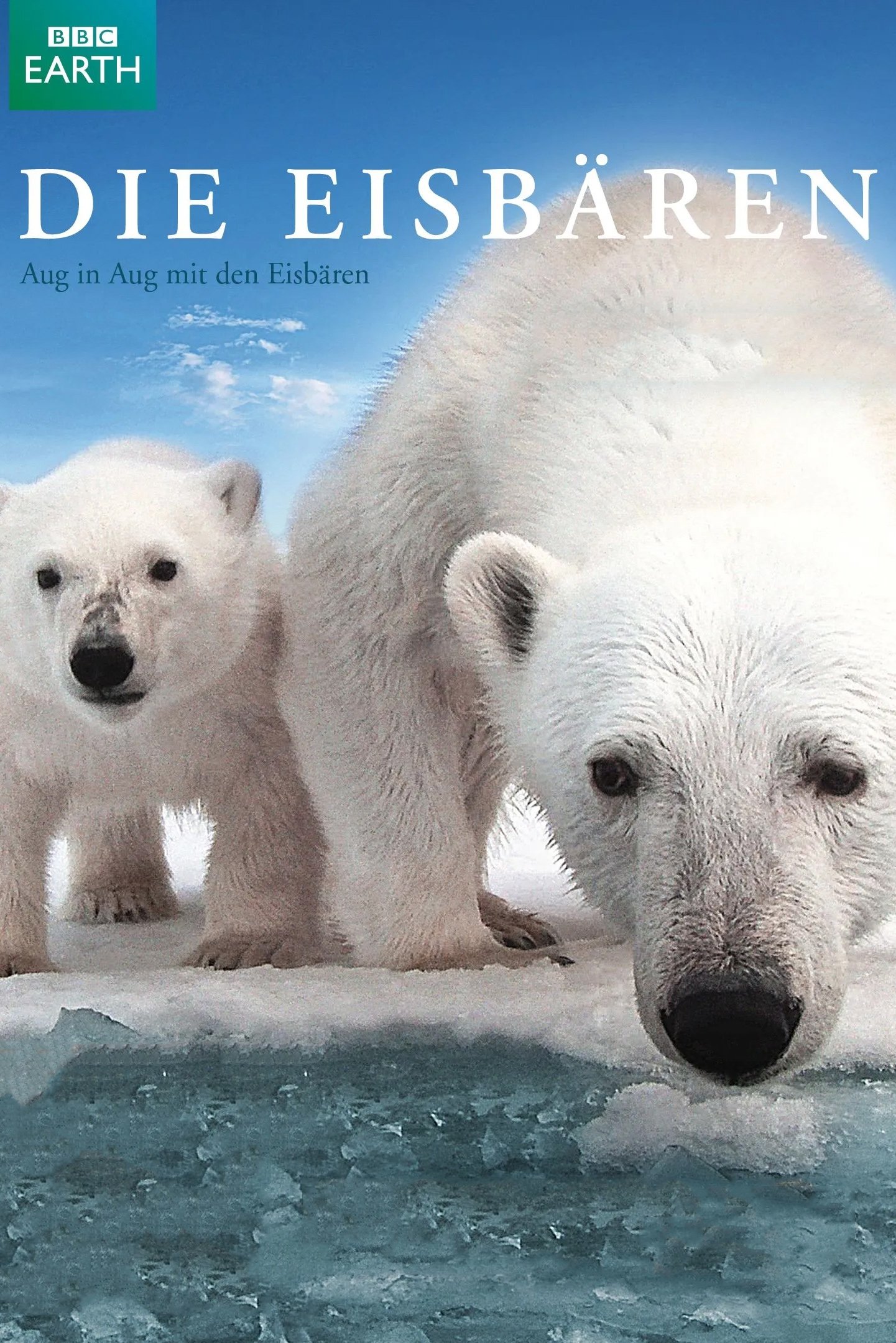 Polar Bear - Spy on the Ice
