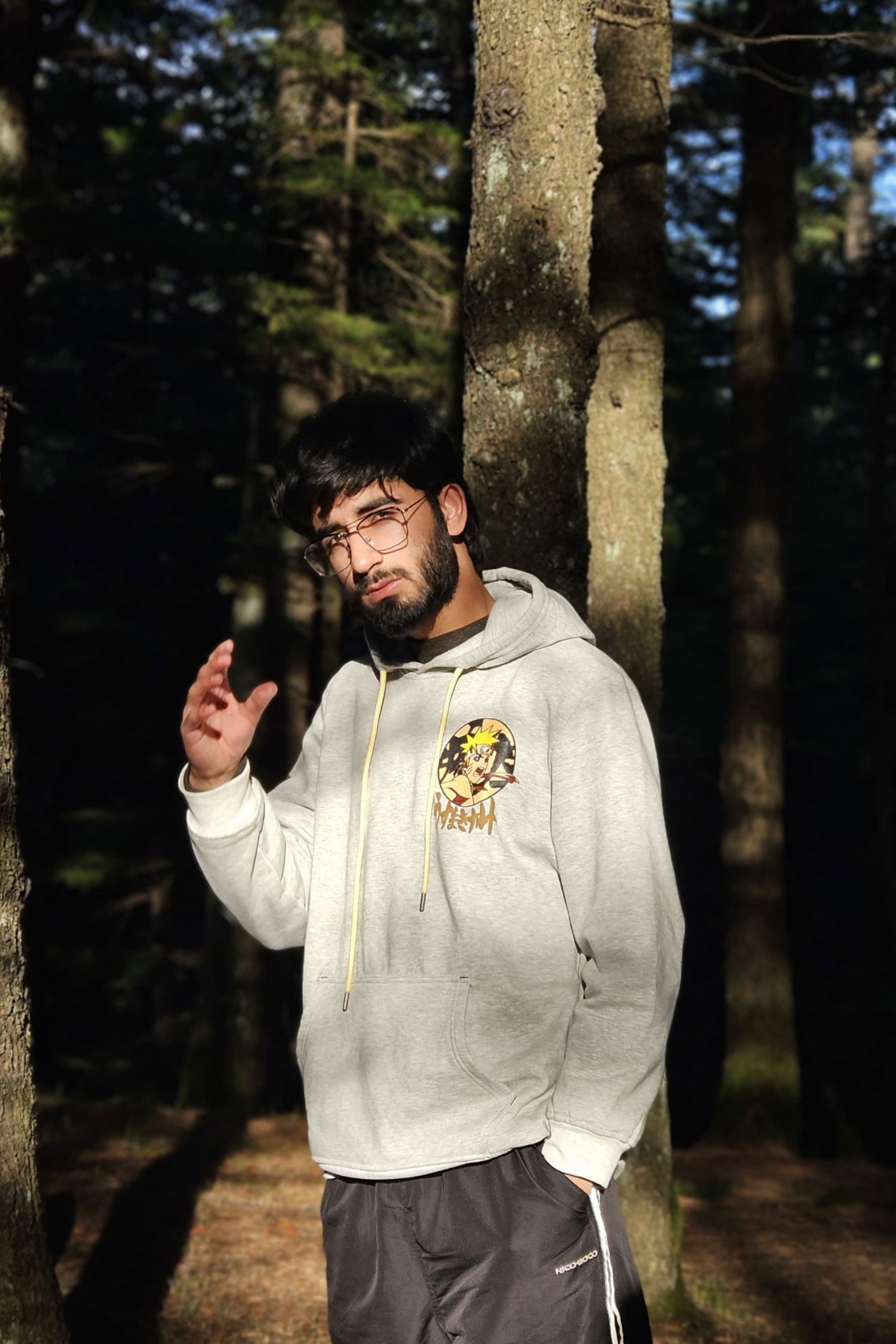 et billede af Meer Muazzam