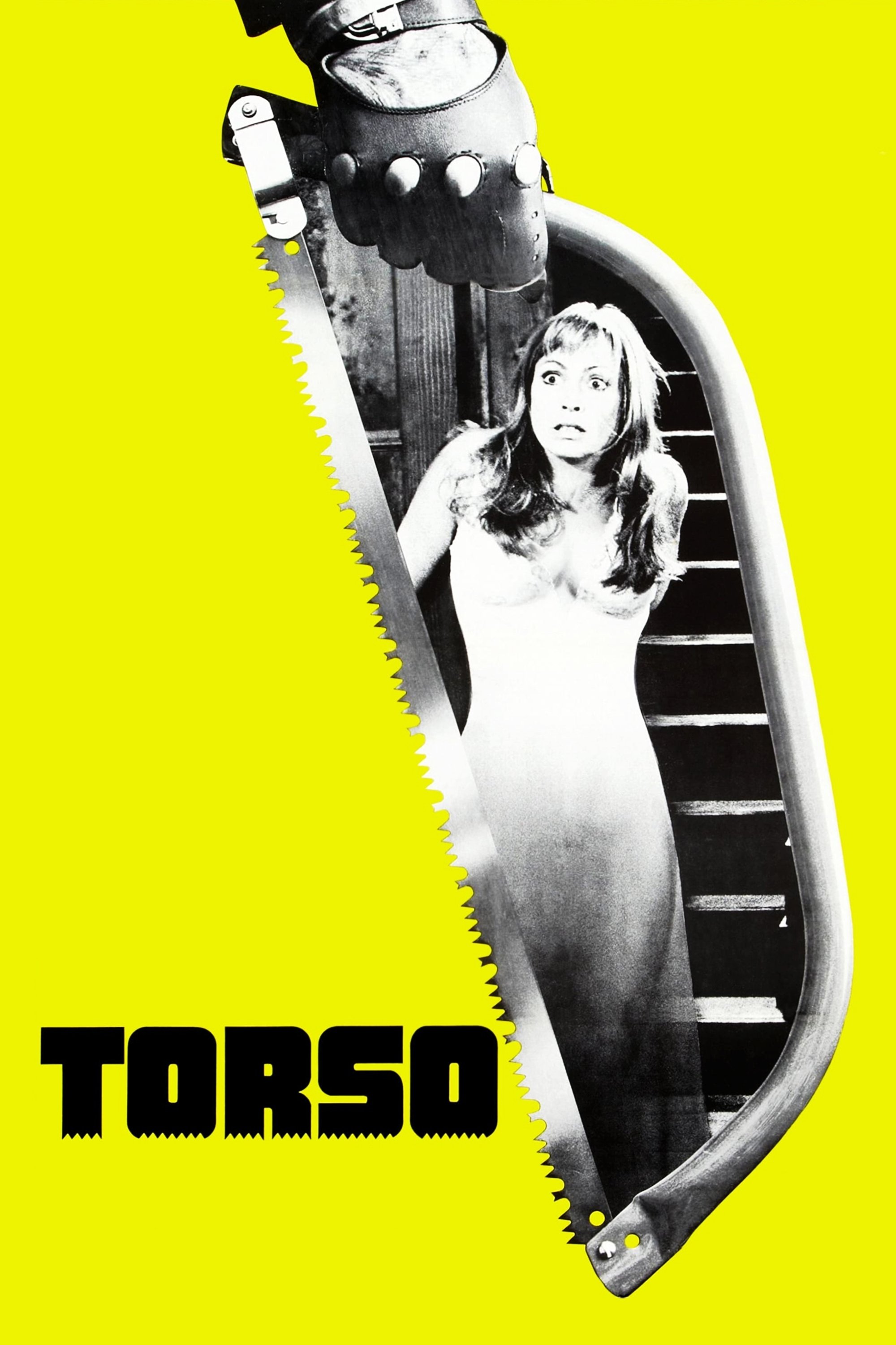 Torso