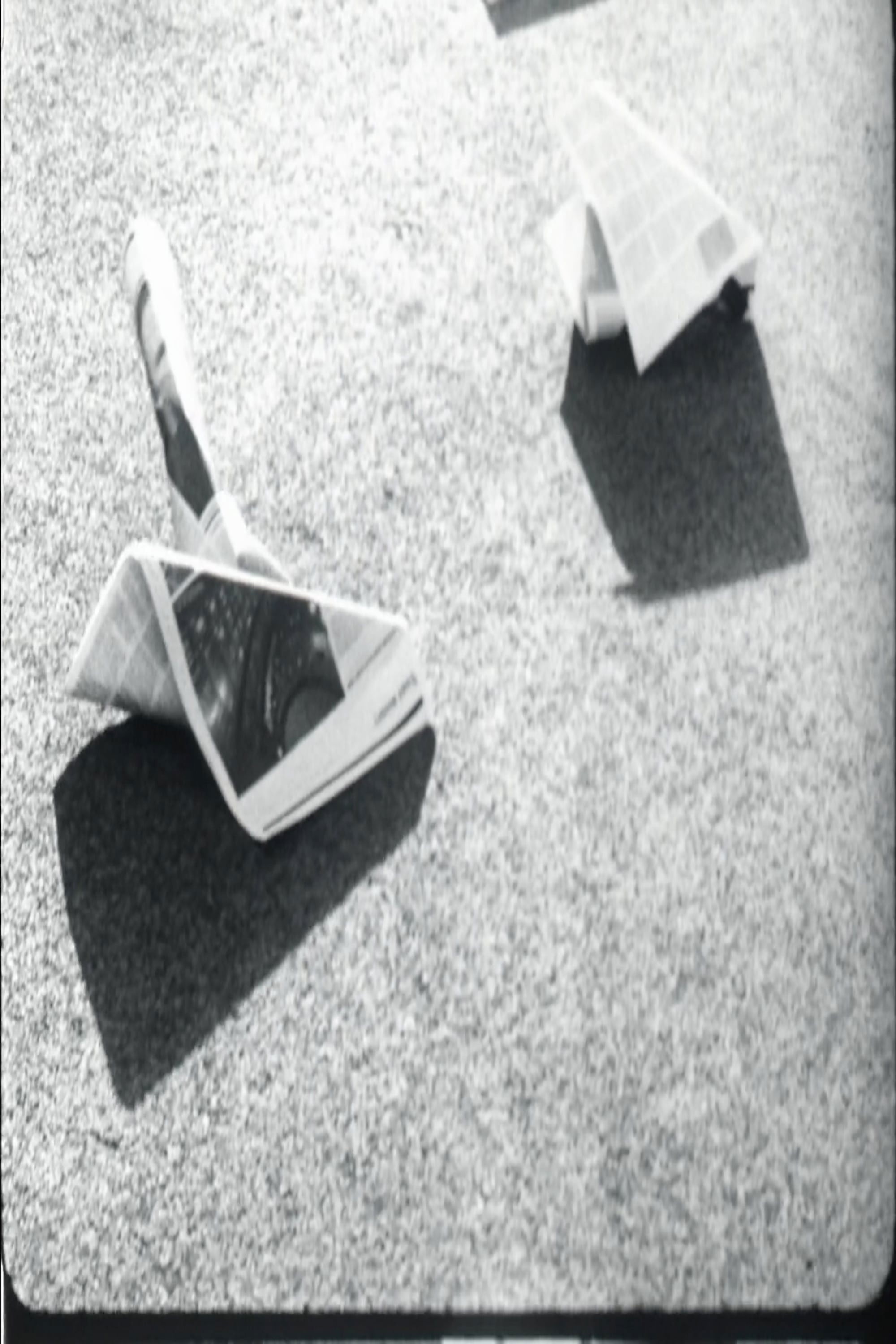 Newspaper for Vignelli