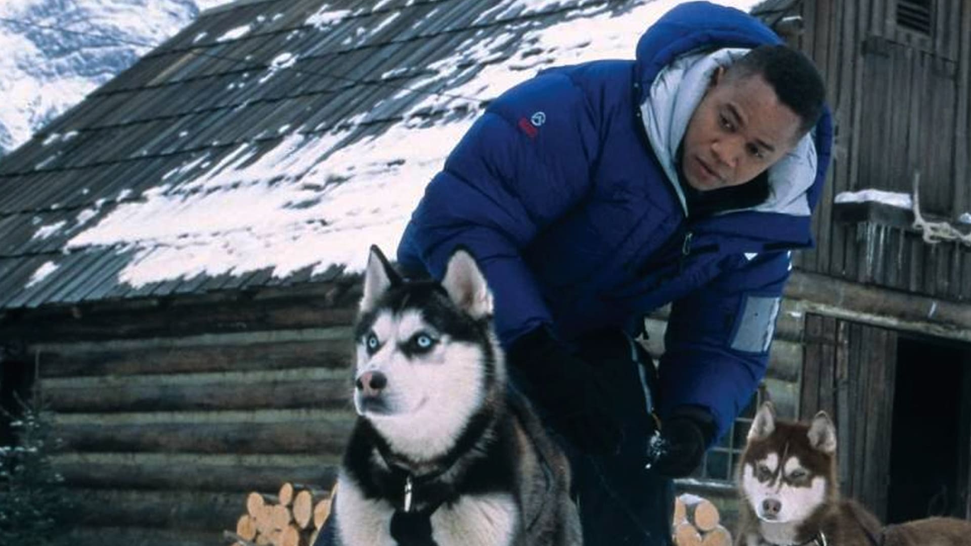 Chiens des neiges (2002)