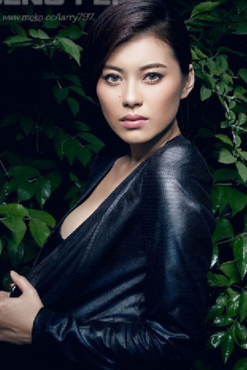 et billede af Zhang Shumiao