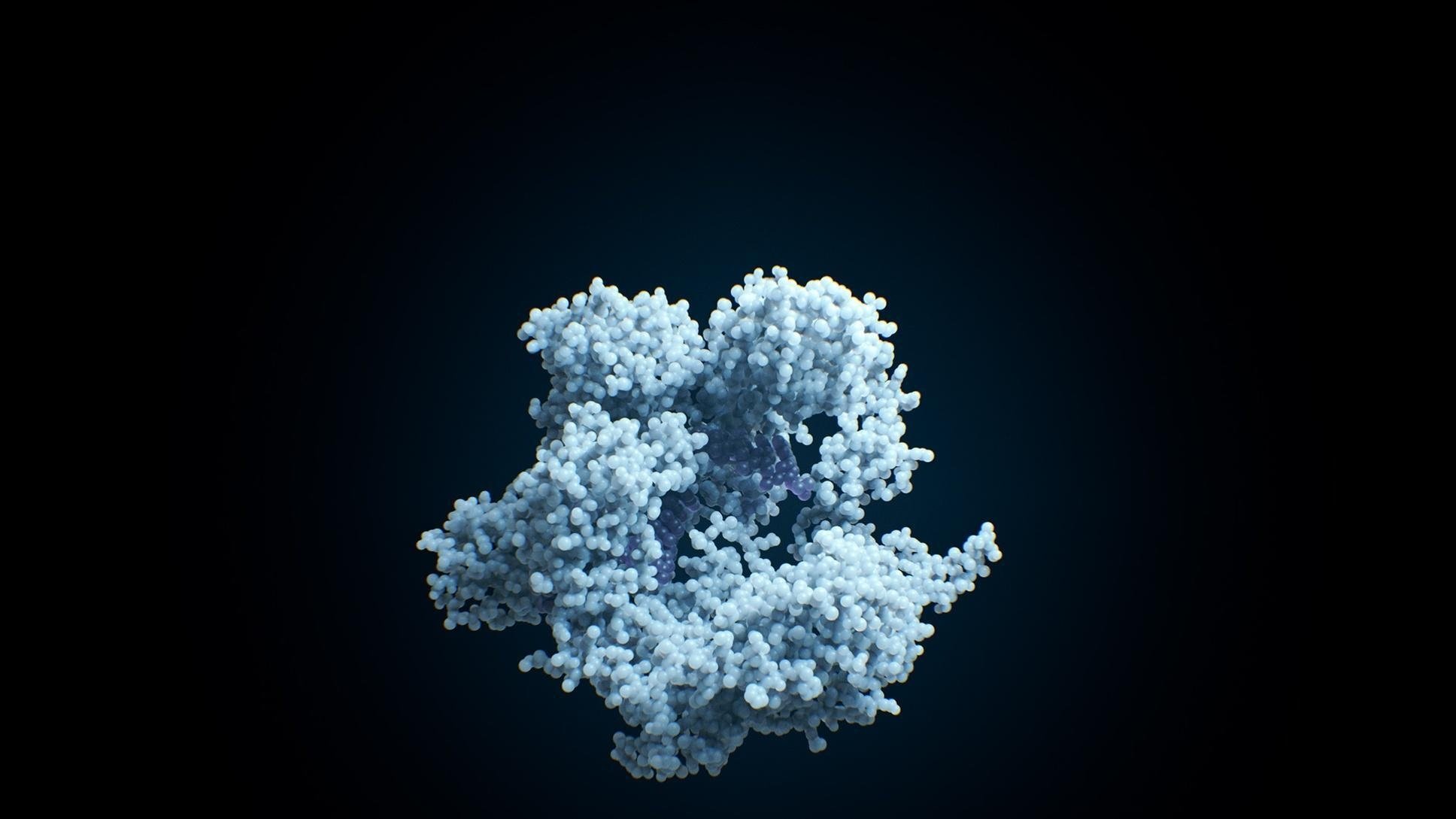 NOVA 47x9