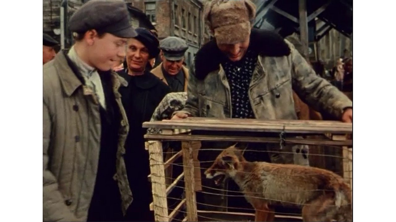 Probation (1960)