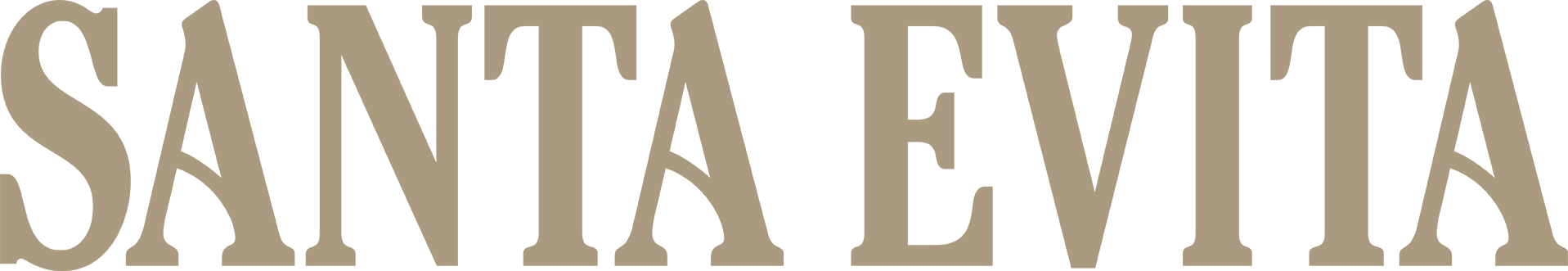 Santa Evita Logo