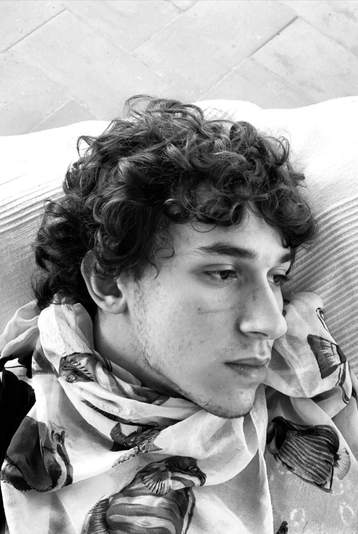 et billede af Matteo Festa