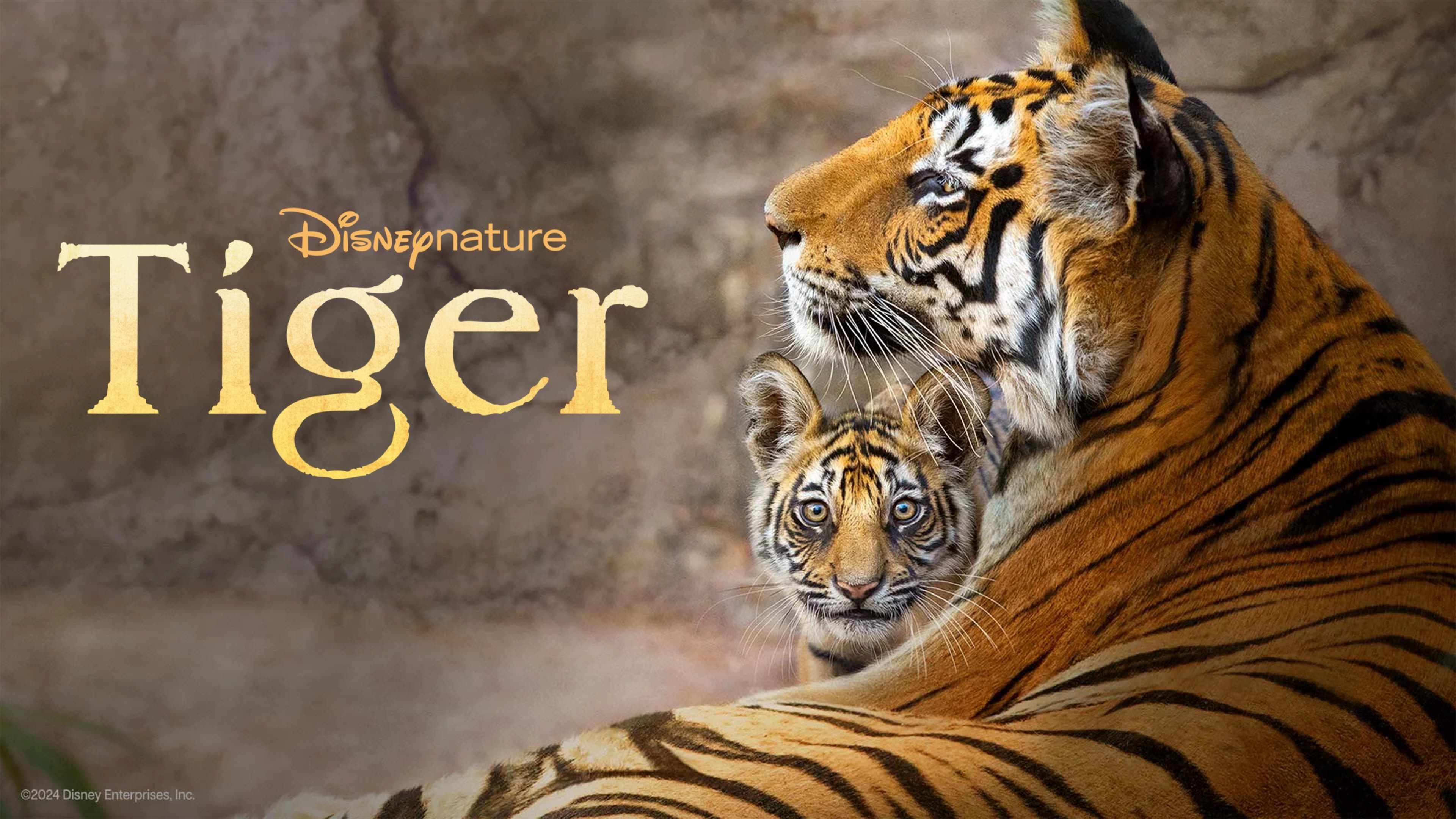 Tiger (2024)