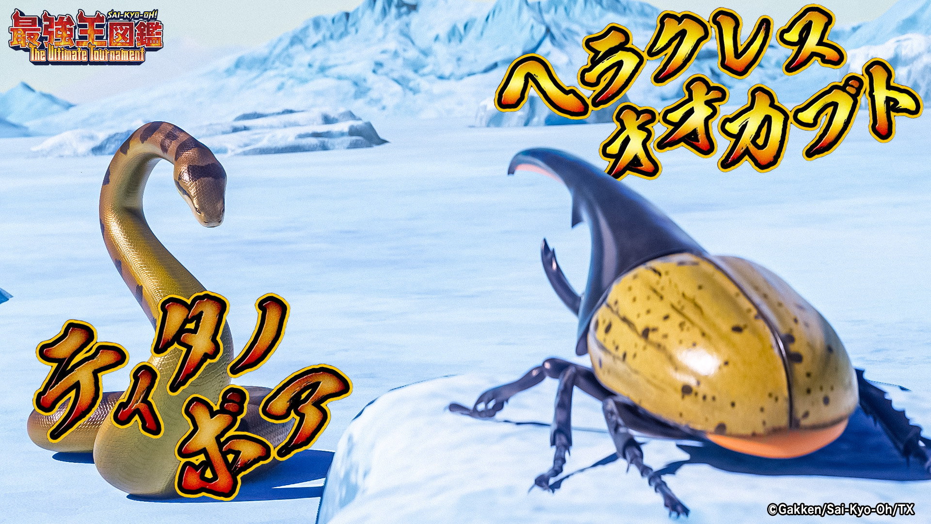 Episode 46