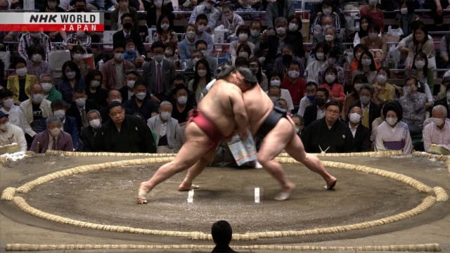 Grand Sumo Highlights Season 11 :Episode 4  May Tournament Day 4