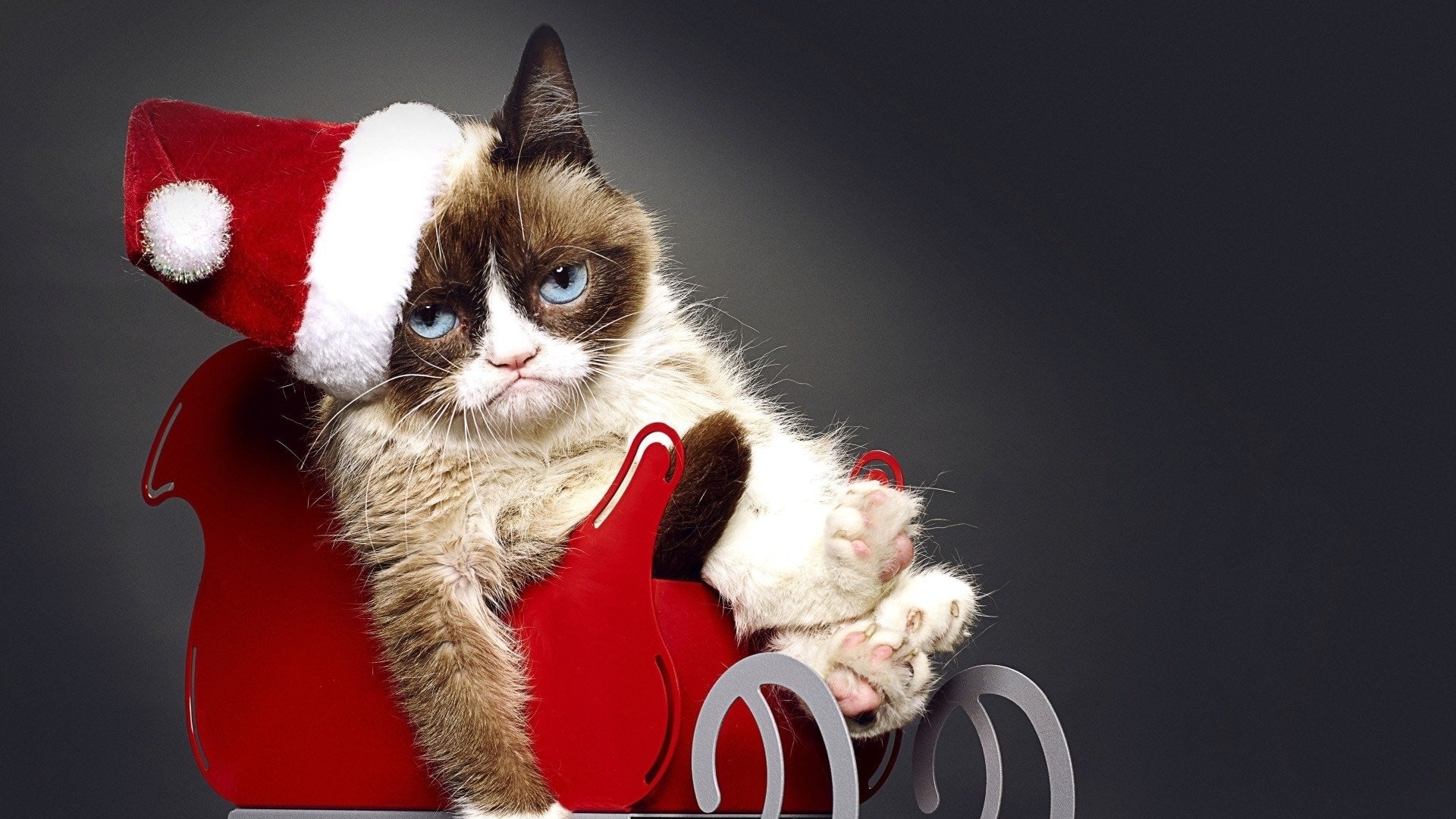Grumpy Cat's miesestes Weihnachtsfest ever (2014)