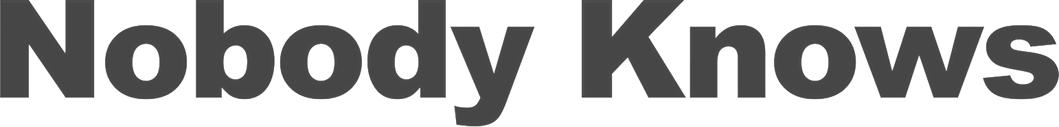 Nobody Knows Logo