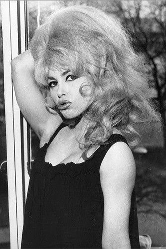 et billede af Lady Chinchila