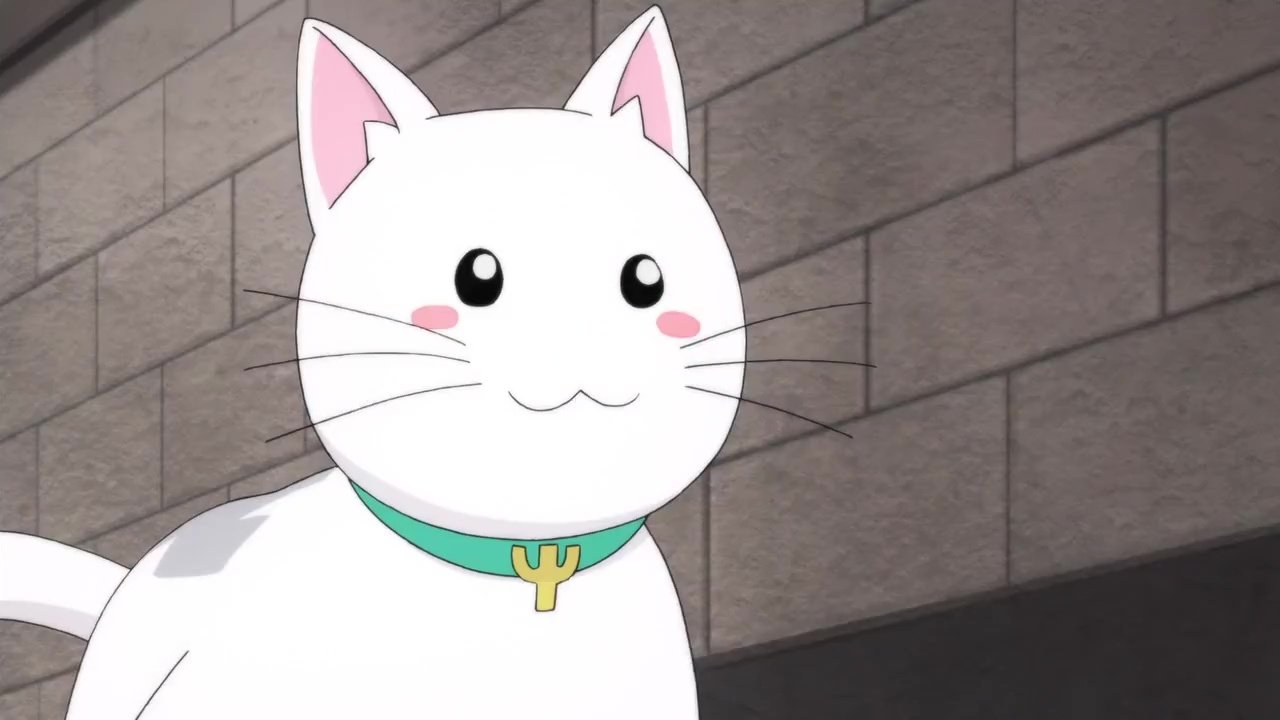 Episode 20