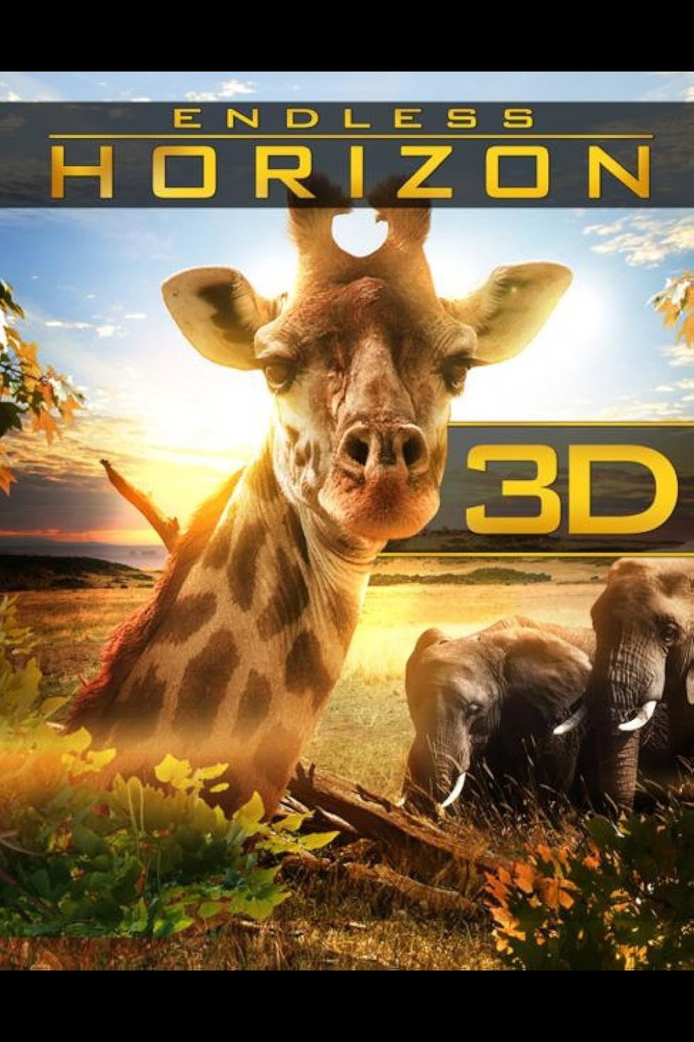 Endloser Horizont - Afrika 3D