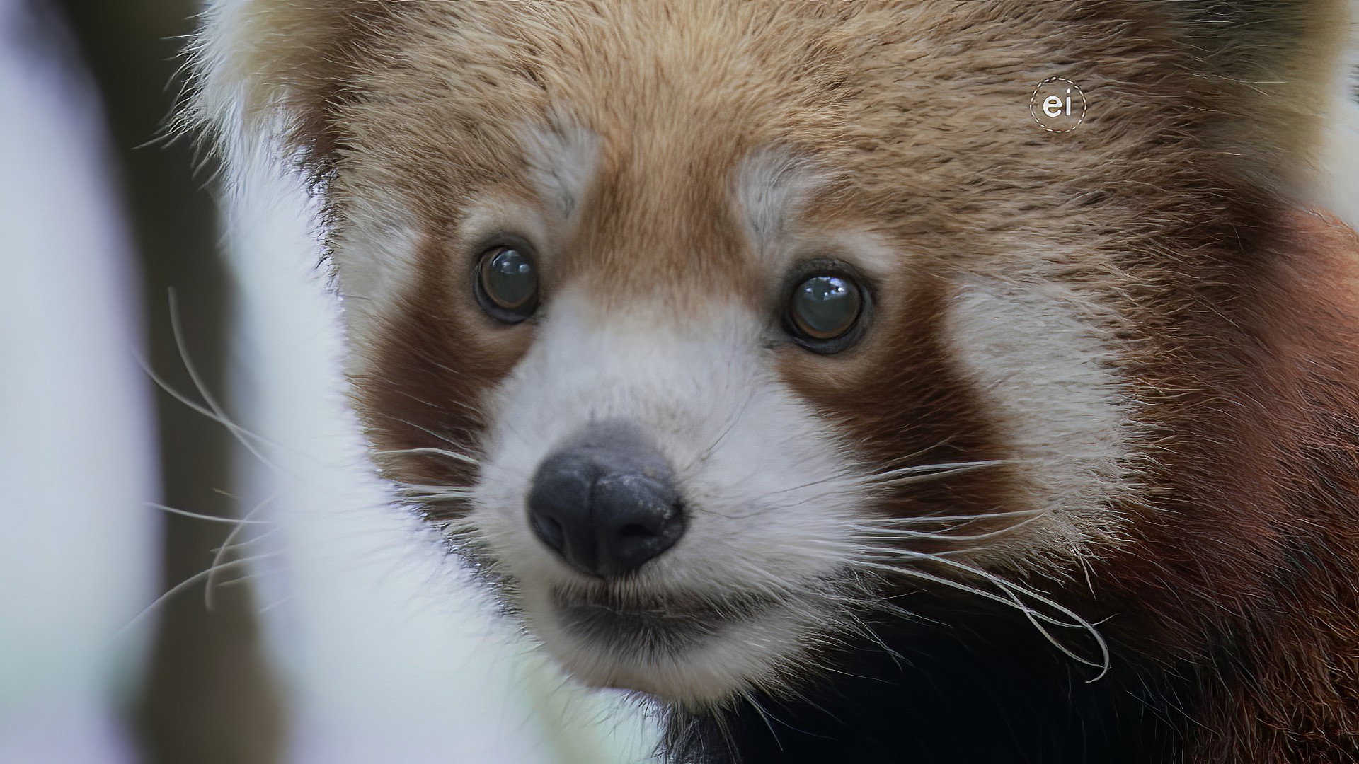 Earth Odyssey with Dylan Dreyer S04E15 backdrop