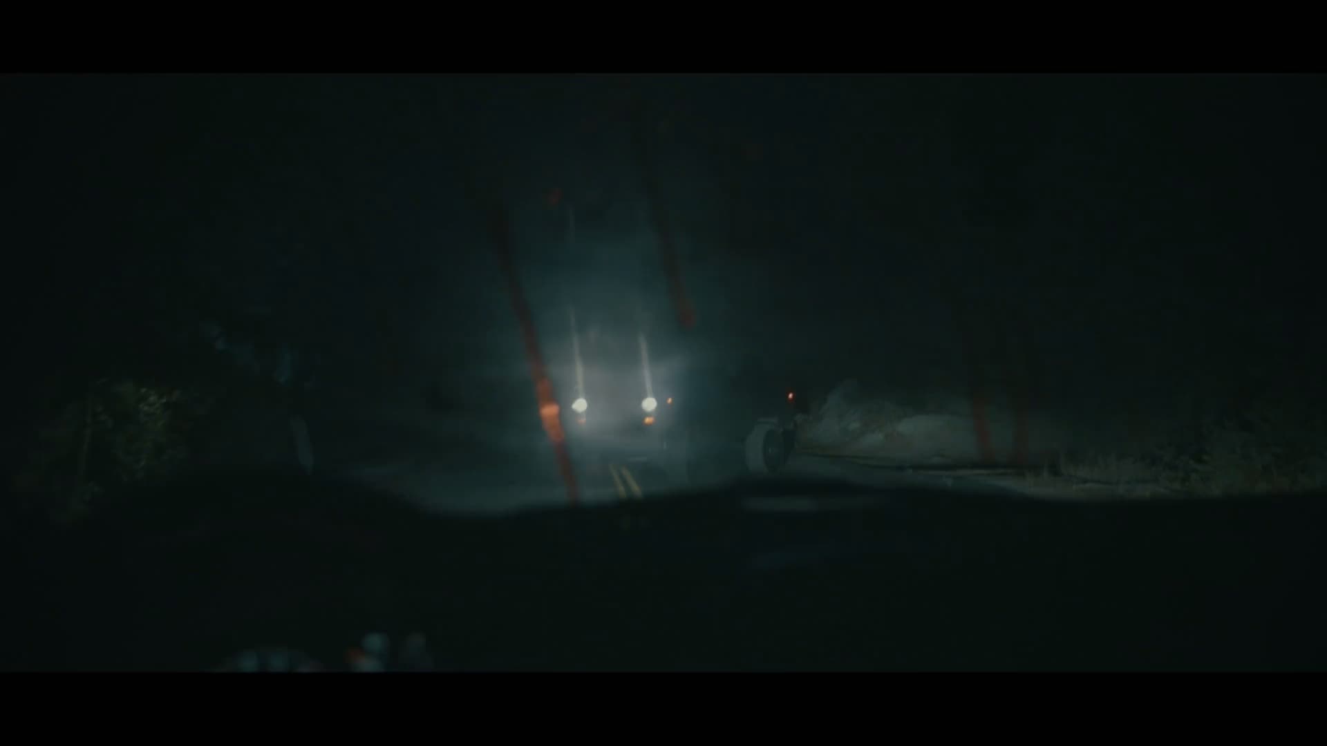 The Woods (2017)