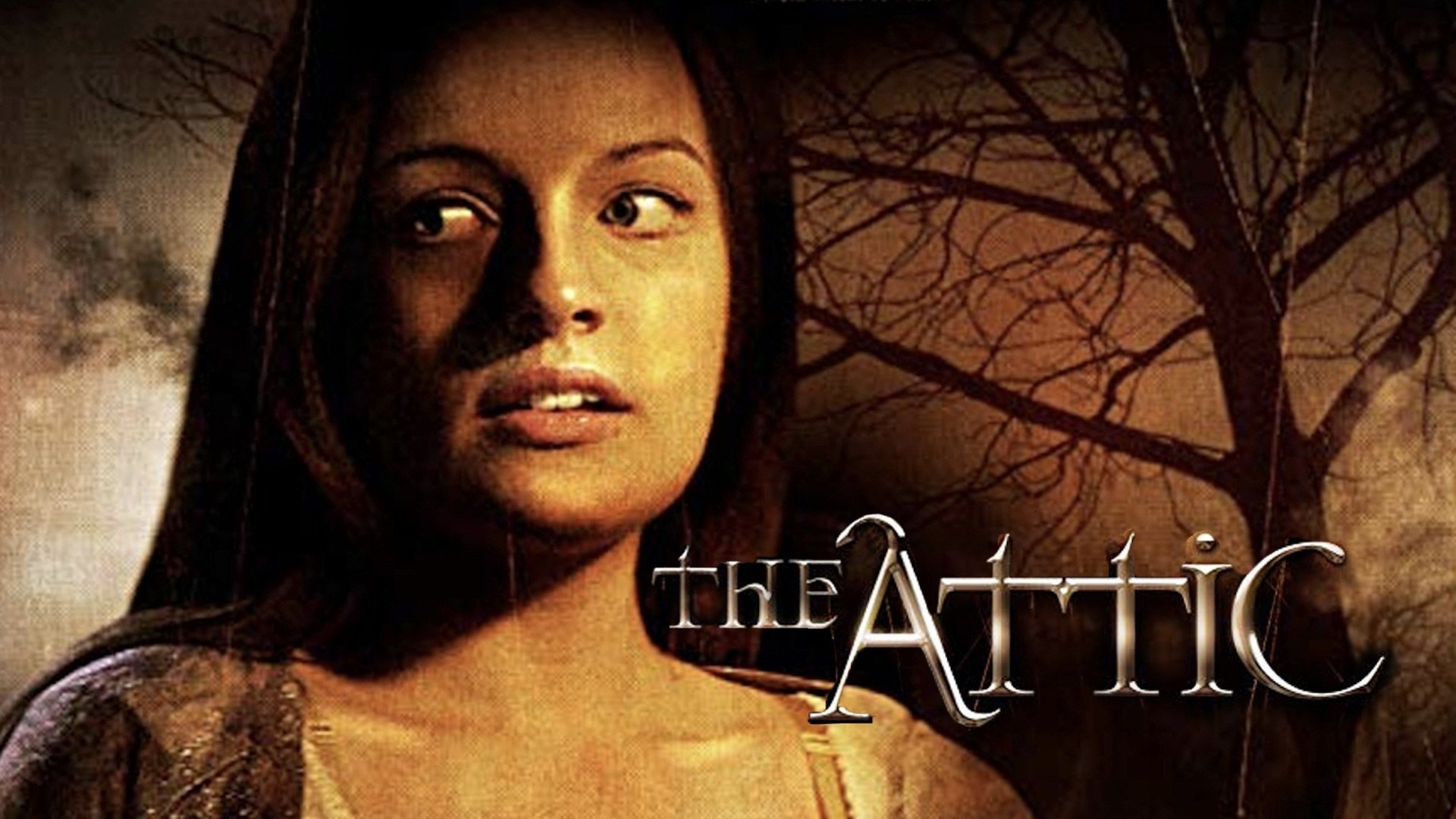 The Attic (2006)