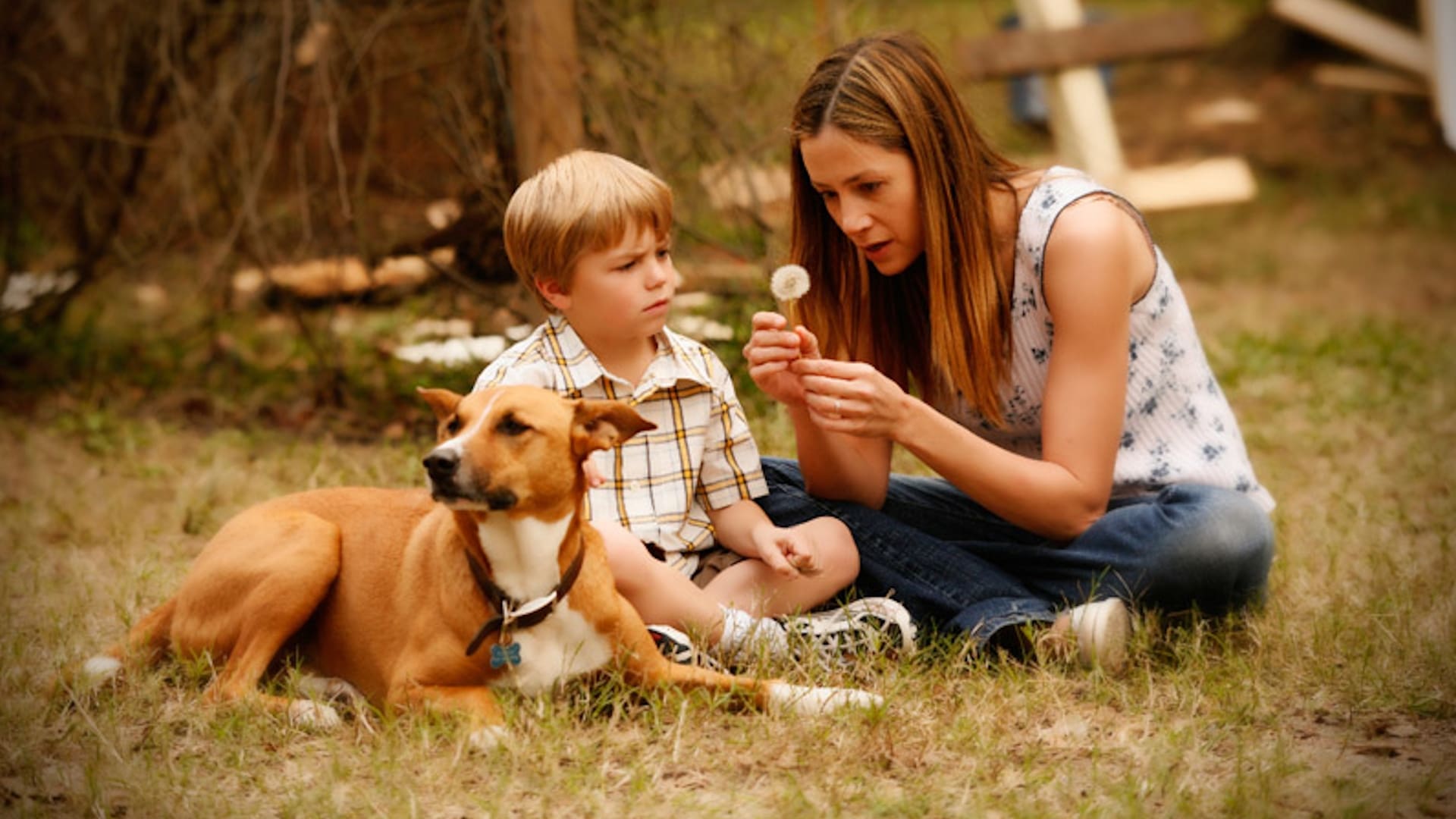 Like Dandelion Dust (2009)