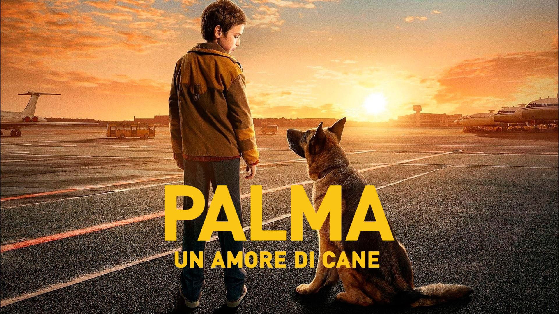 A Dog Named Palma