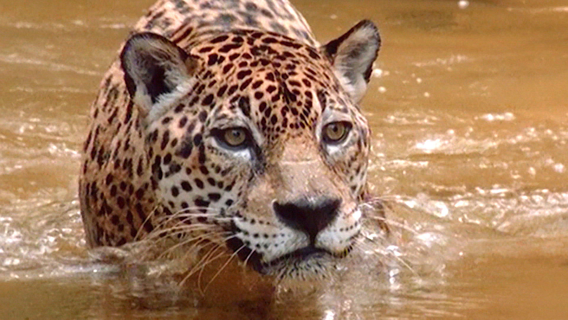 Earth Odyssey with Dylan Dreyer S02E31 backdrop