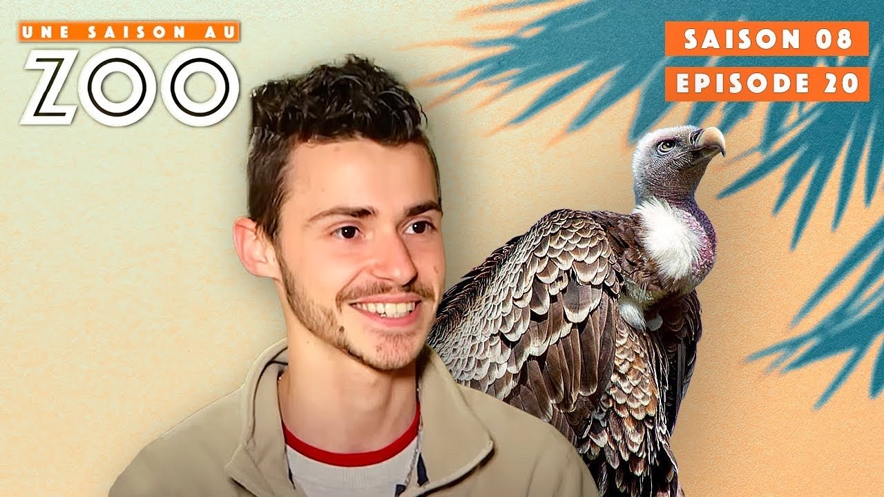 Une saison au zoo