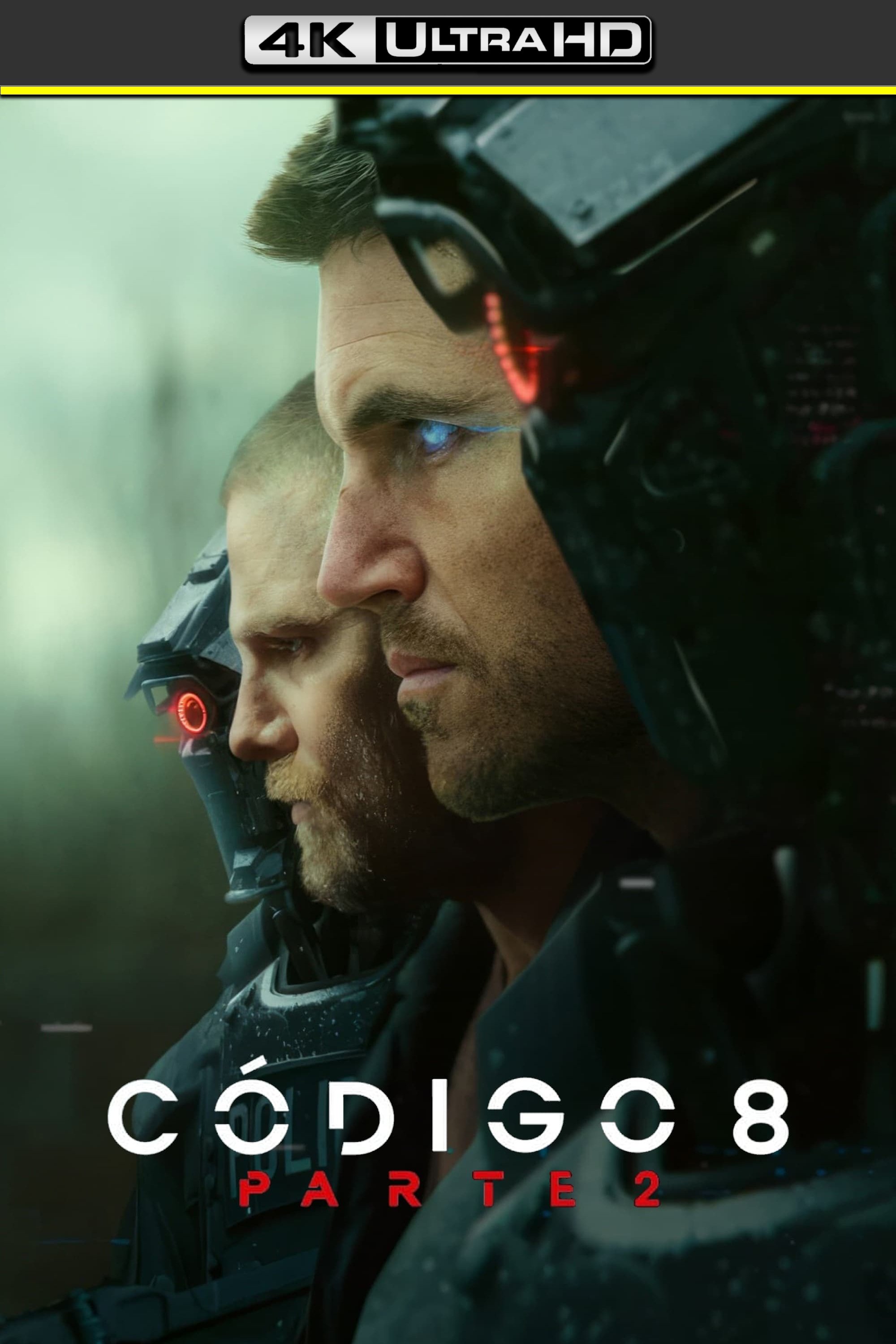 Poster 6