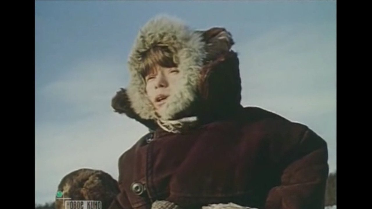 По ком тюрьма плачет... (1991)
