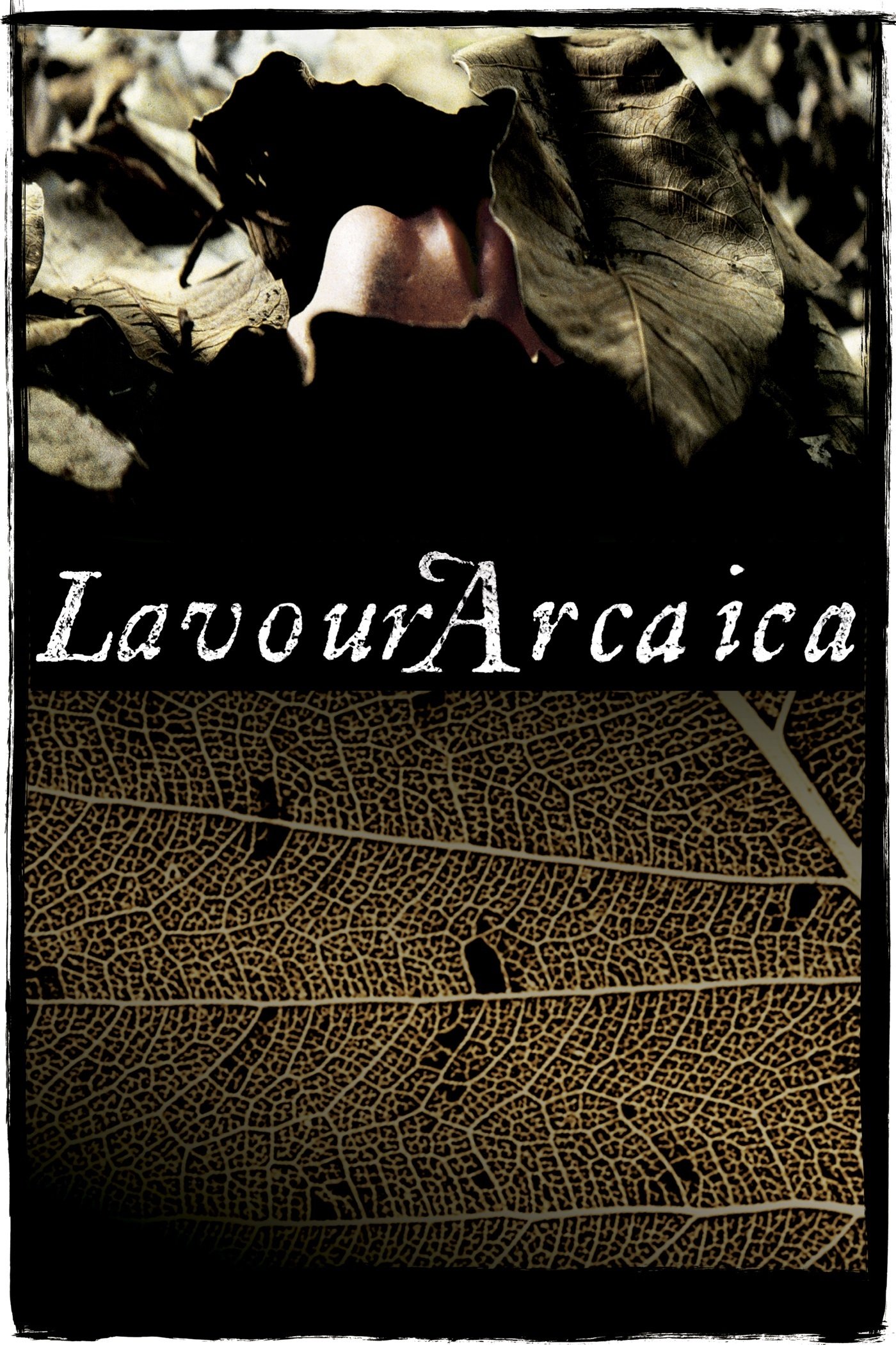 Lavoura Arcaica Lavoura Arcaica