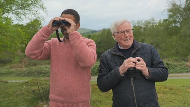 Countryfile 38x19