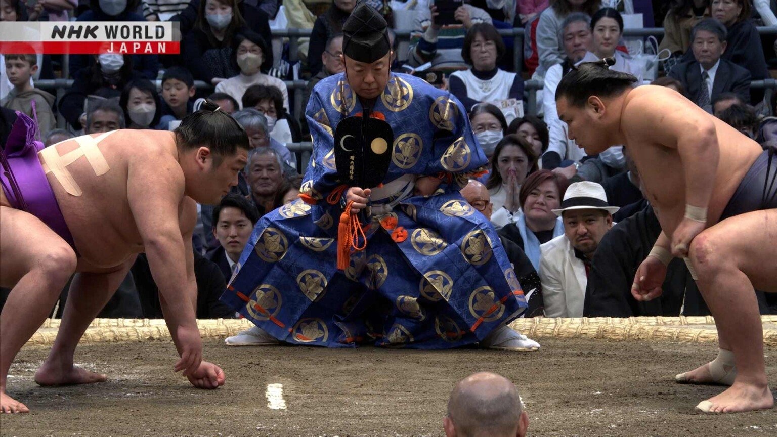 GRAND SUMO Highlights Staffel 22 :Folge 12 