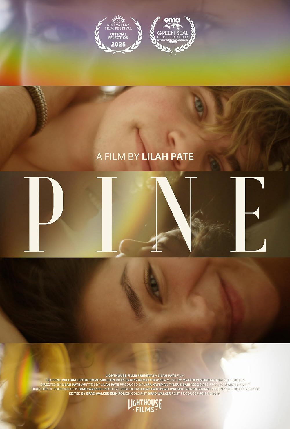 Pine Poster