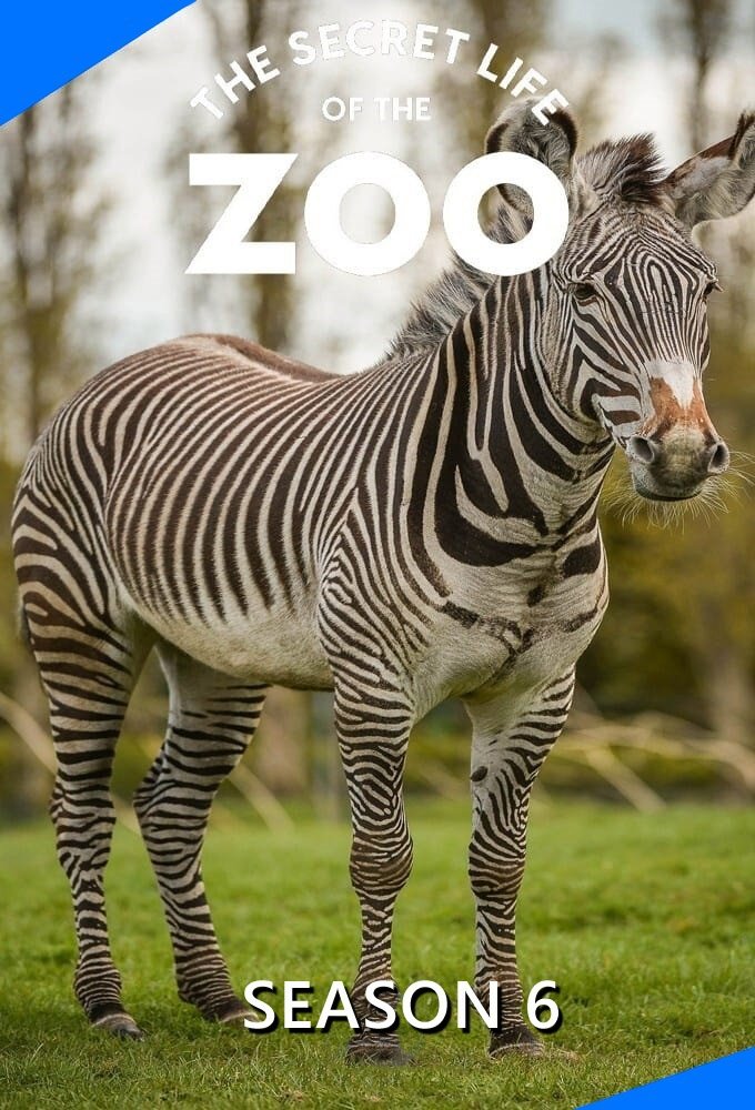 The Secret Life of the Zoo - Season 6