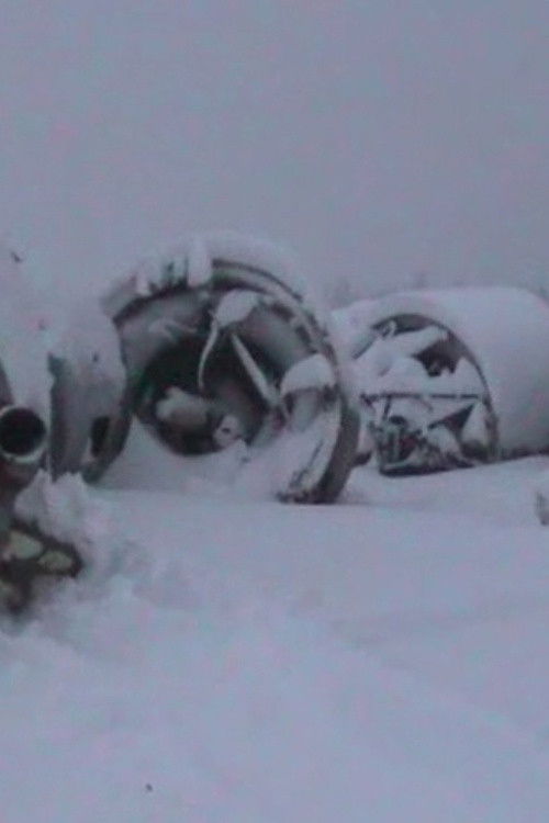 Fallout Zones (2025)