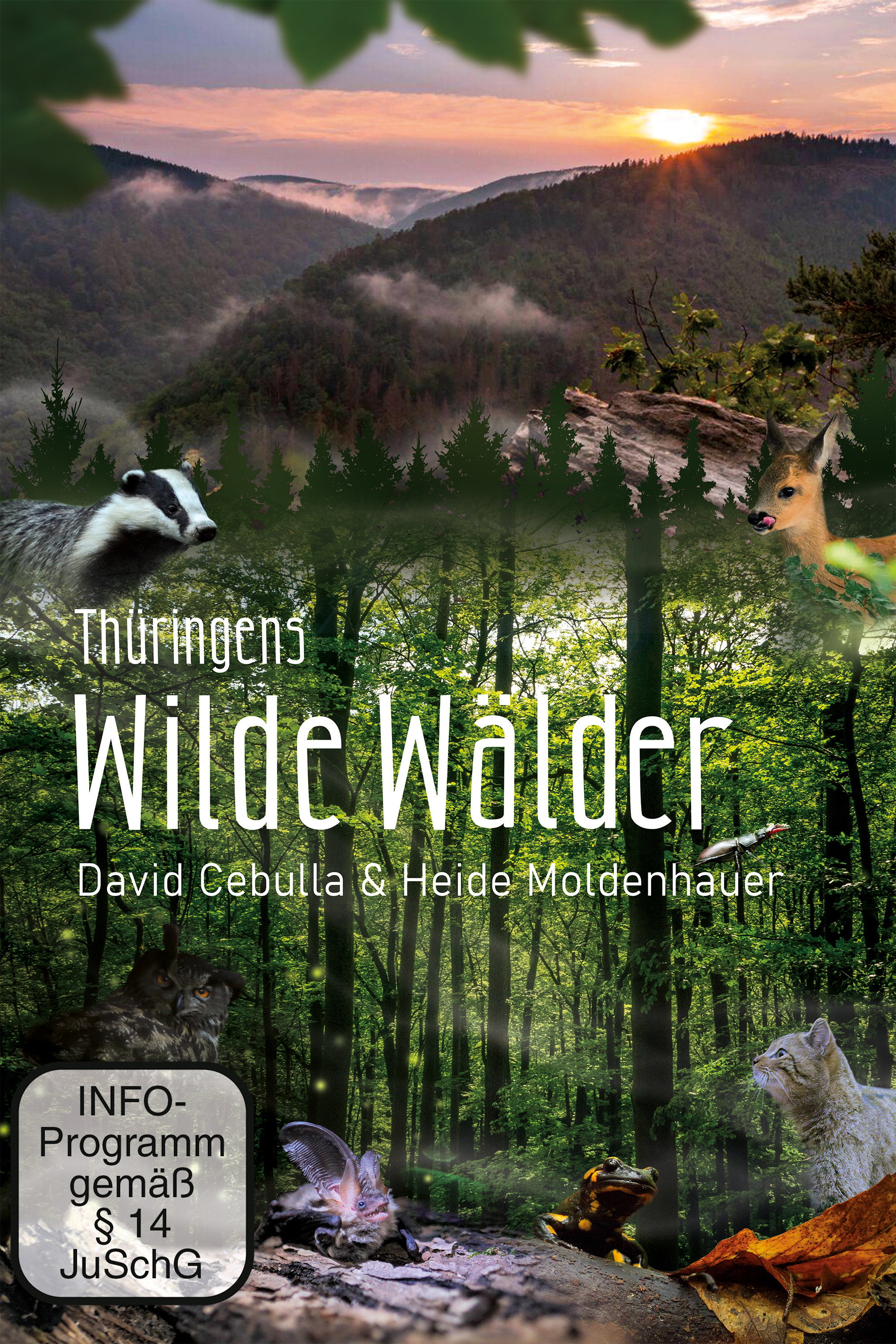 Wild Forests Poster