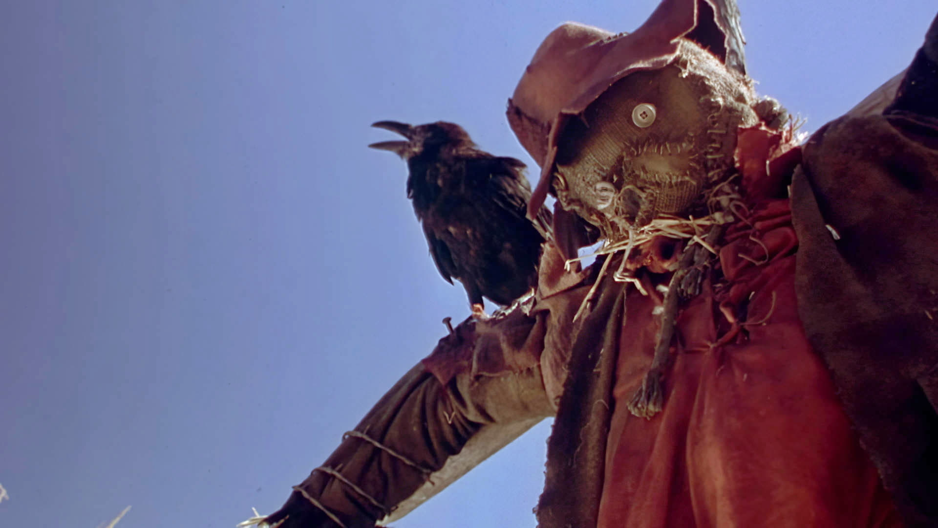 Night of the Scarecrow (1995)