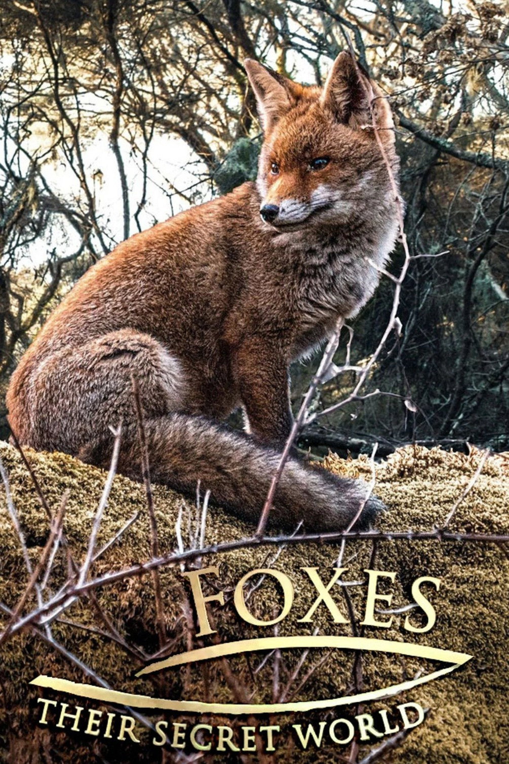 Foxes: Their Secret World - Season 1