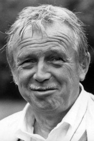 et billede af Toon Hermans