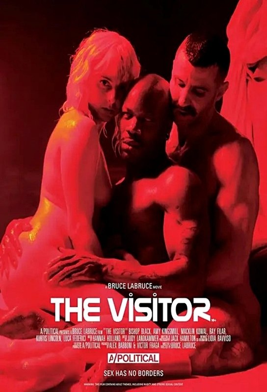 The Visitor