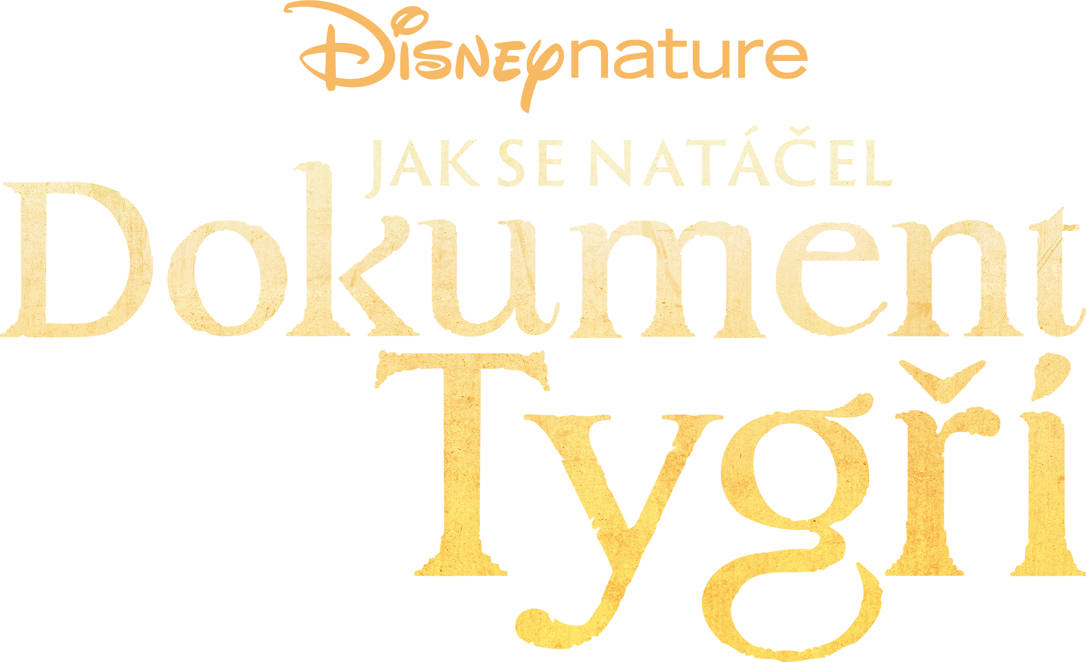 Jak se natáčel dokument Tygři