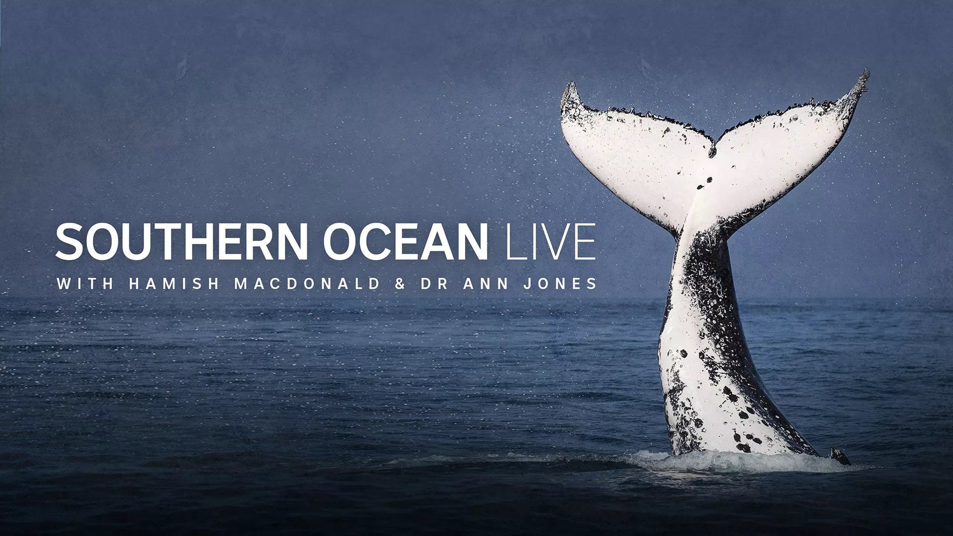 Southern Ocean Live